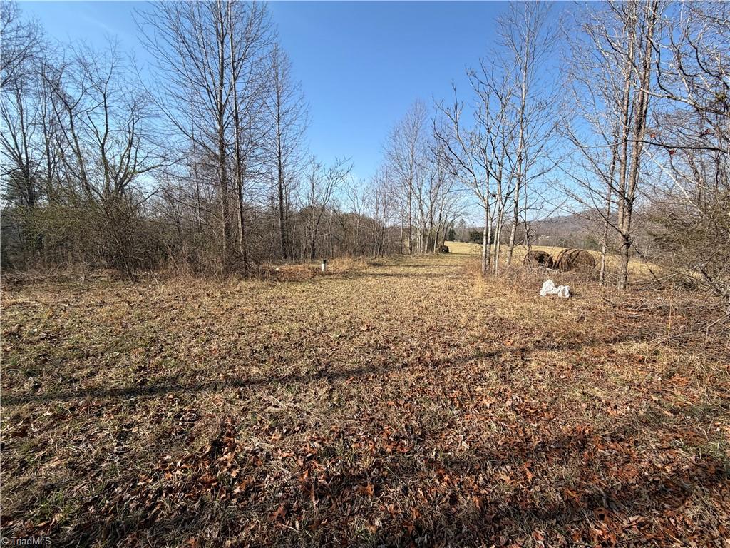 1442 Flippin Road Westfield, NC 27053 - Photo 6 of 12