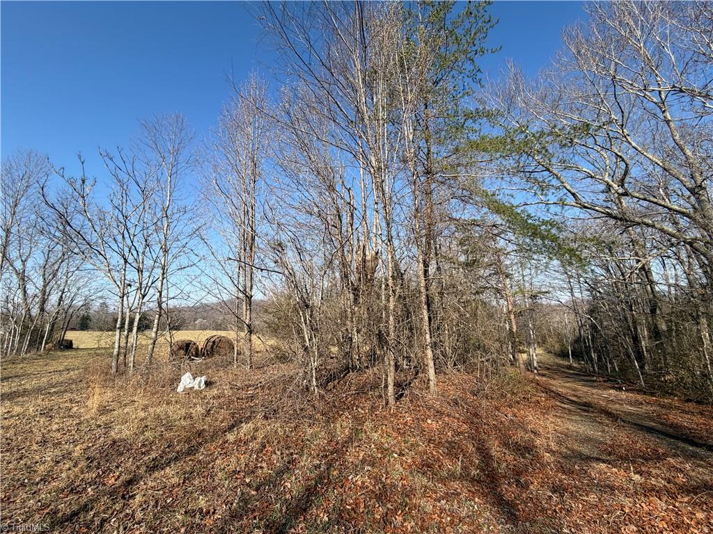 1442 Flippin Road Westfield, NC 27053 - Photo 7 of 12