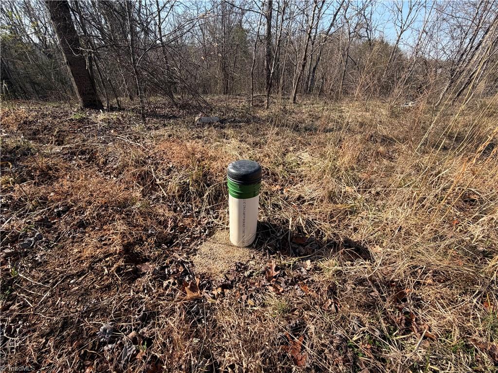 1442 Flippin Road Westfield, NC 27053 - Photo 8 of 12