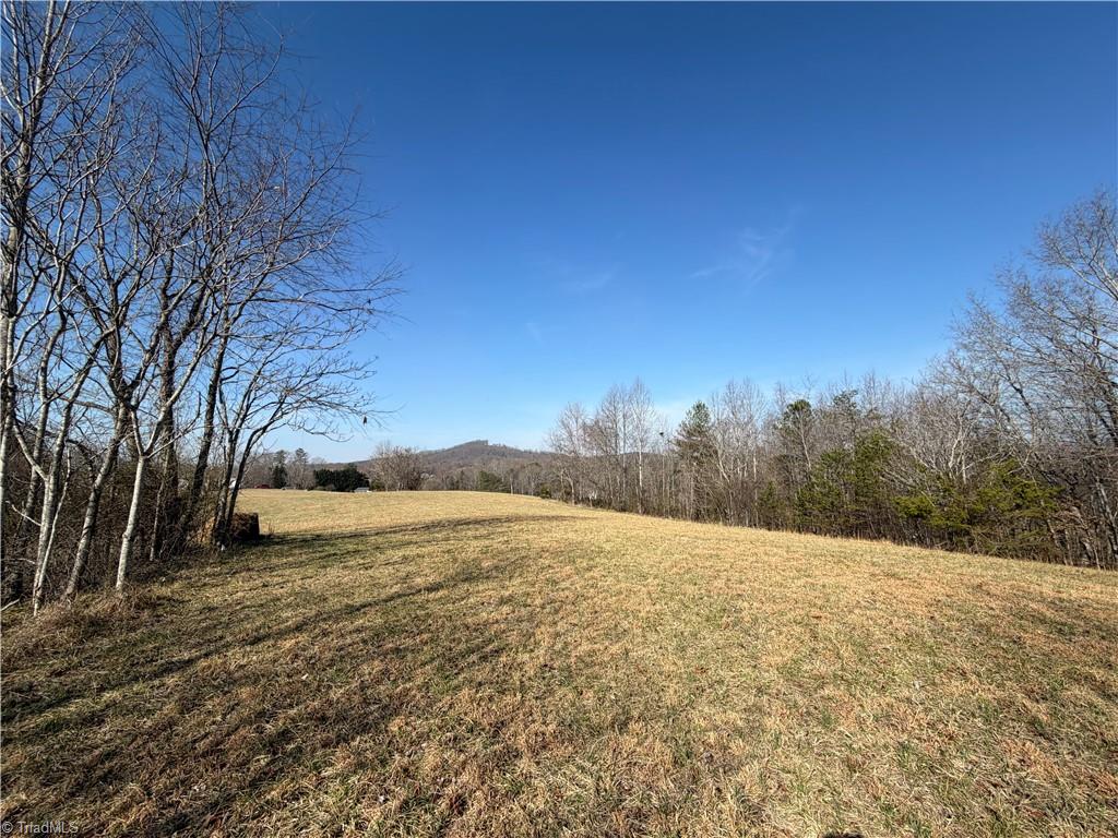 1442 Flippin Road Westfield, NC 27053 - Photo 9 of 12