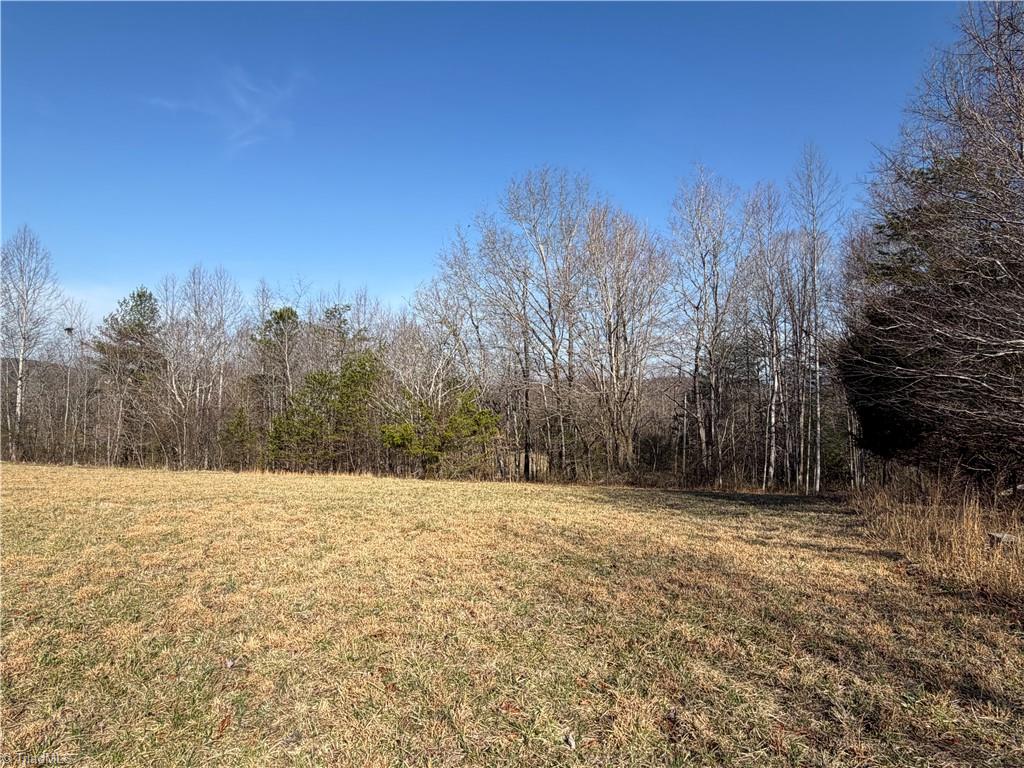 1442 Flippin Road Westfield, NC 27053 - Photo 10 of 12