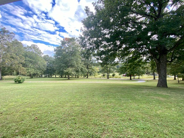 895 Hafner Road Charlotte, TN 37036 - Photo 6 of 33 Gallery Image 6