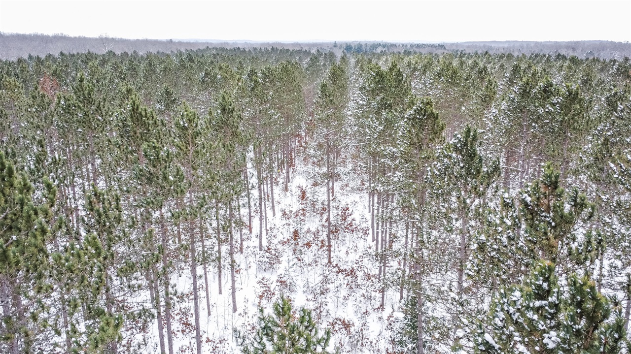 8 West 8 Mile Road Free Soil, MI 49411 - Photo 9 of 9