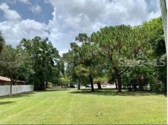 a view of a swimming pool and trees in the background