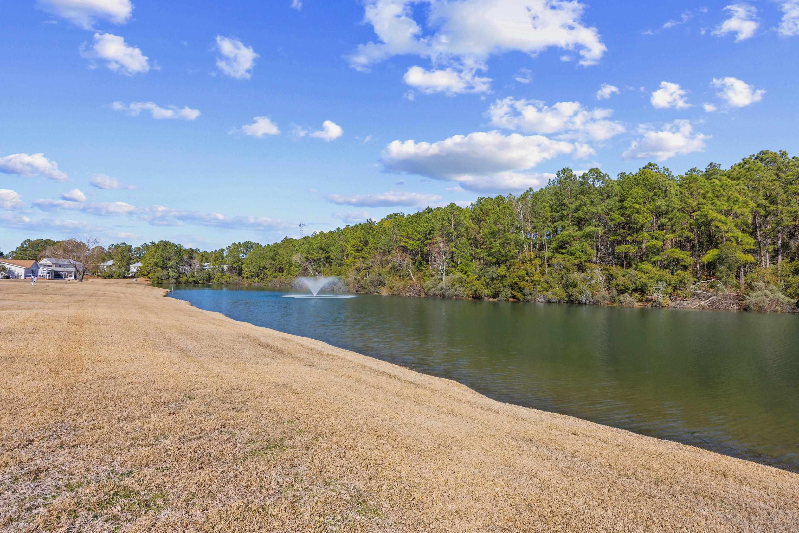 141 Lakeside Crossing Drive Conway, SC 29526 - Photo 31 of 40