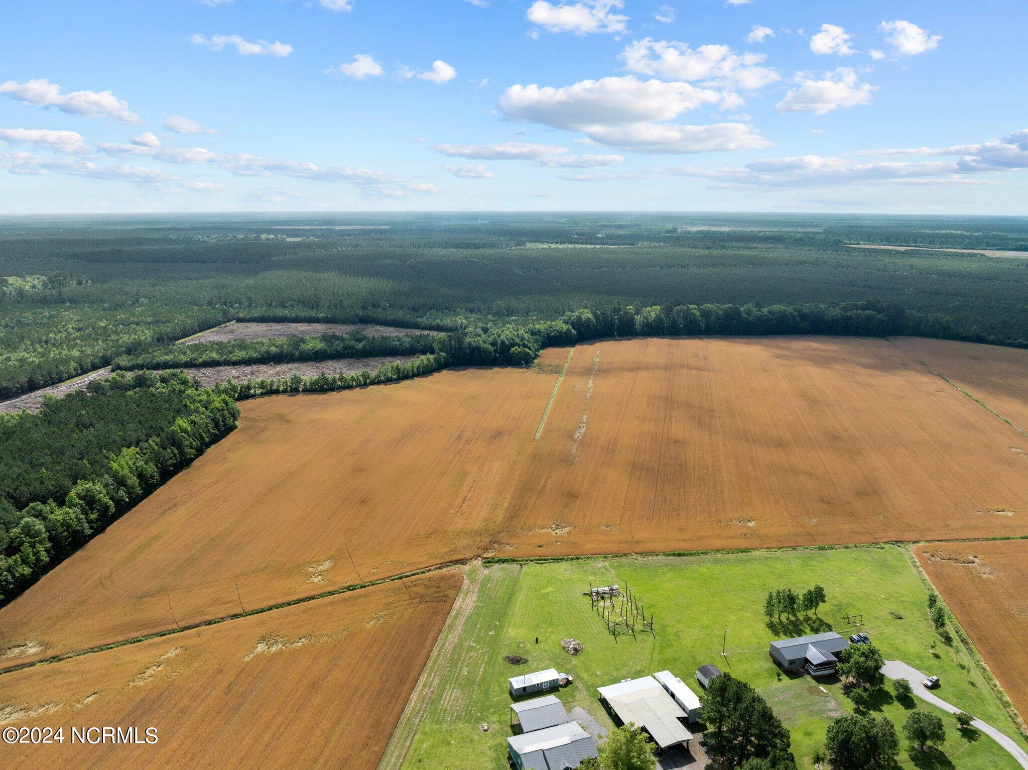 800 Lewis Road Vanceboro, NC 28586 - Photo 5 of 20 800 Lewis Road