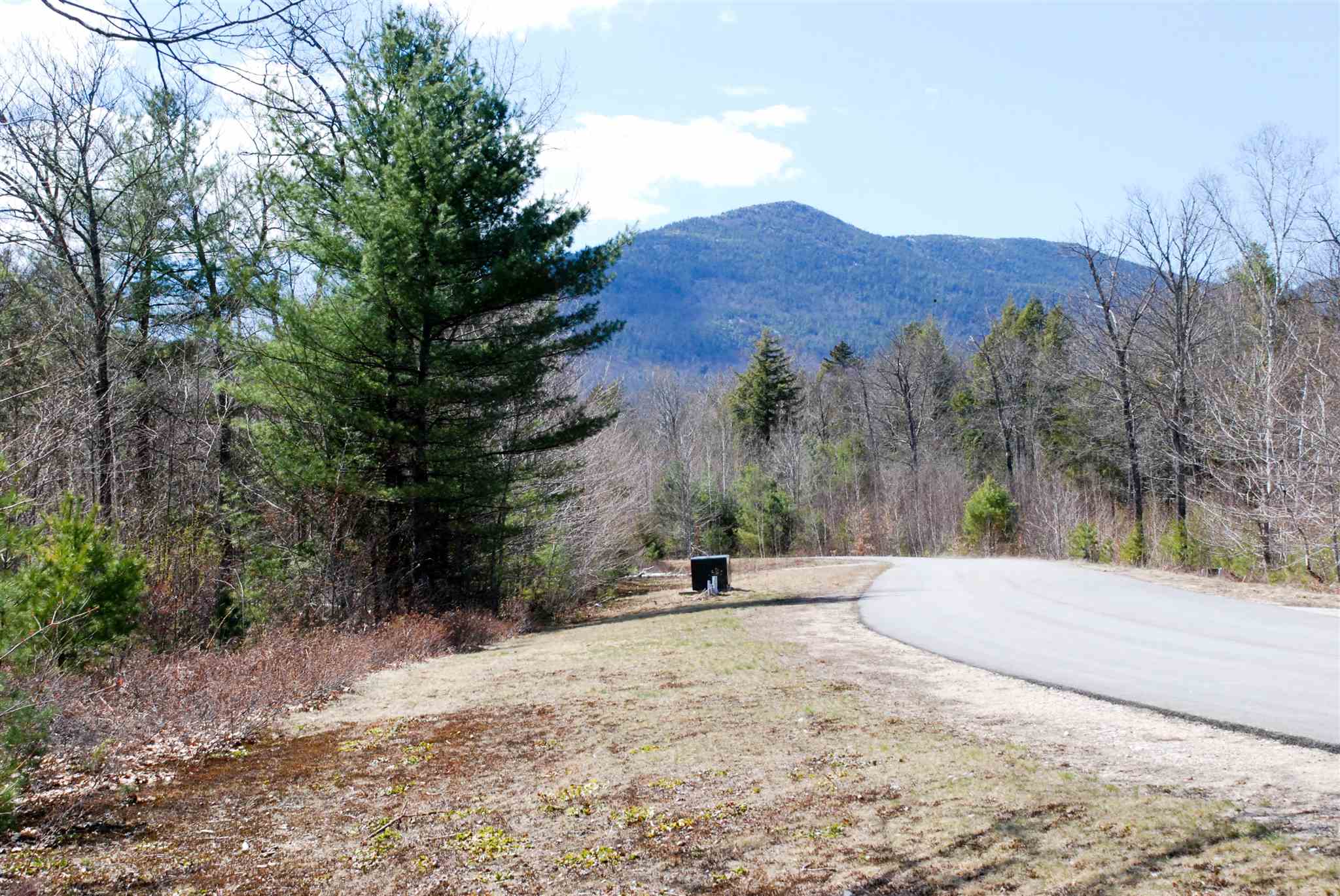 Lot 106 Grandview Road, Unit 106 Conway, NH 03818 - Photo 2 of 6