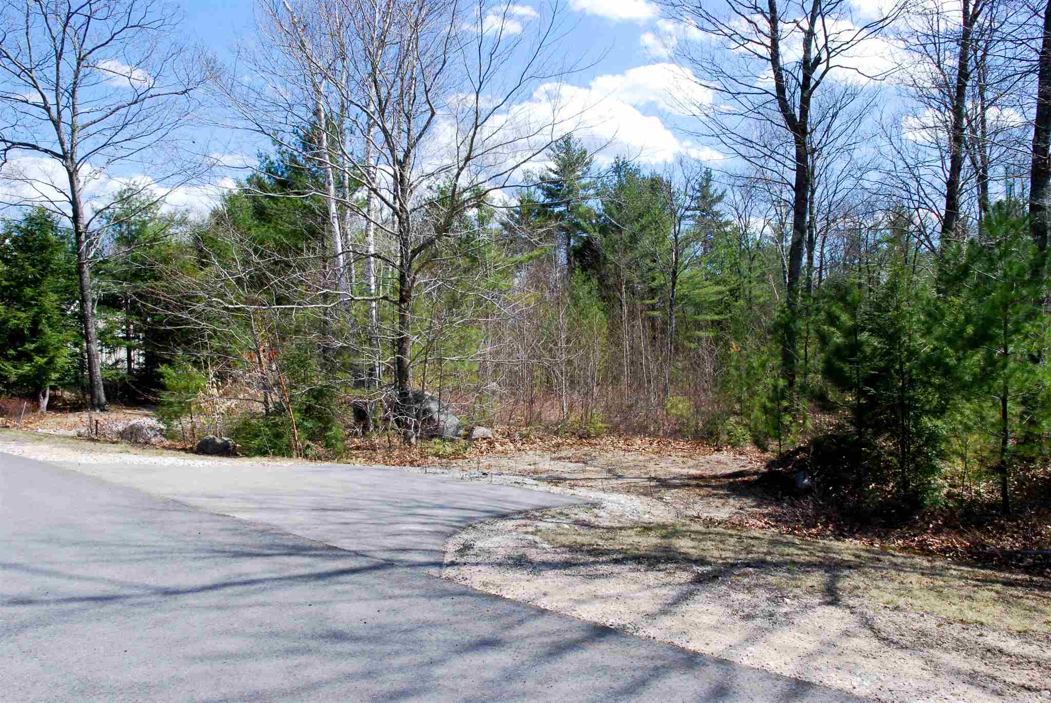 Lot 106 Grandview Road, Unit 106 Conway, NH 03818 - Photo 3 of 6