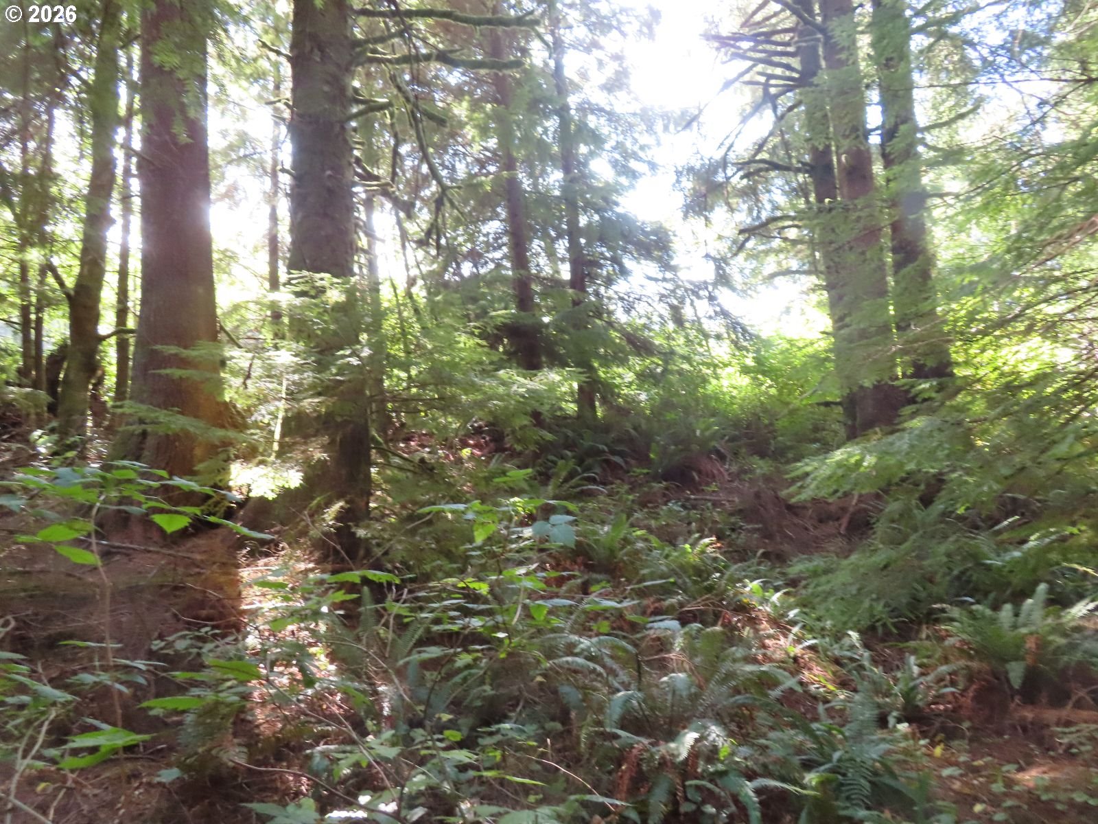 101 State Route South Bend, WA 98586 - Photo 20 of 30 Gallery Image 20