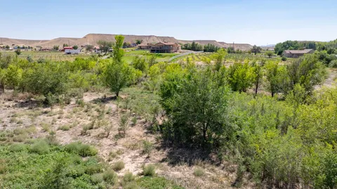 a view of a lush green forest with houses