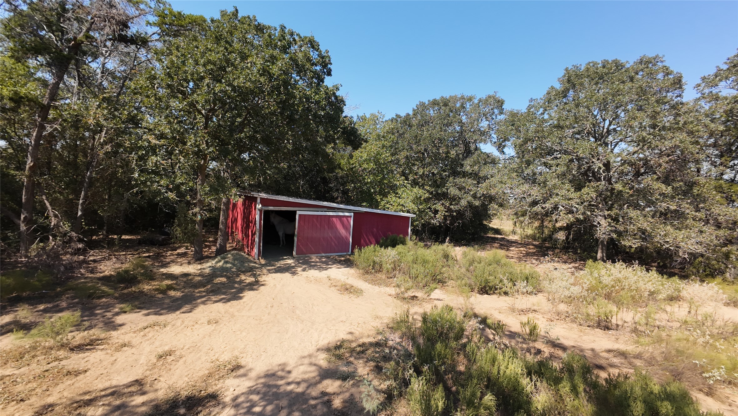 741 Knobbs Road McDade, TX 78650 - Photo 36 of 38 A quaint red barn with an open doorway nestled amidst a grove of mature trees offers rural charm.