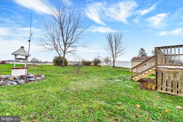 a view of a house with a big yard potted plants and large tree