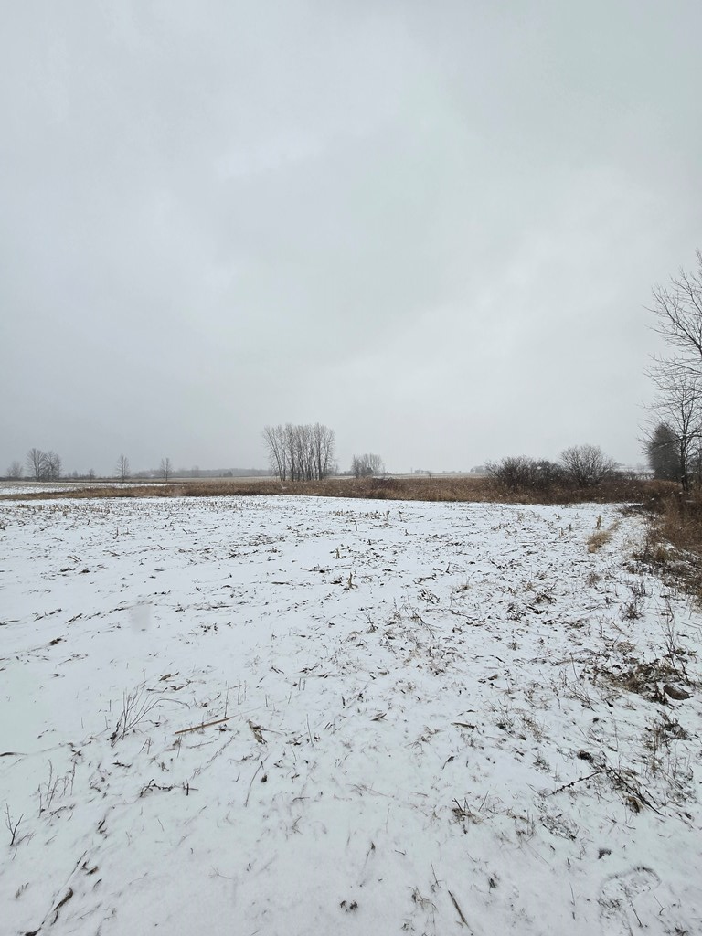Carnot Road Forestville, WI 54213 - Photo 3 of 7