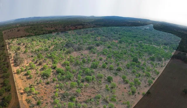 a view of a balcony with an outdoor space