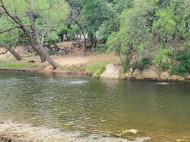 a view of a tree in front of a house