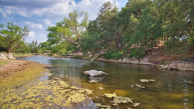 a view of an ocean with trees