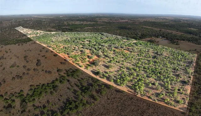 an aerial view of house with yard