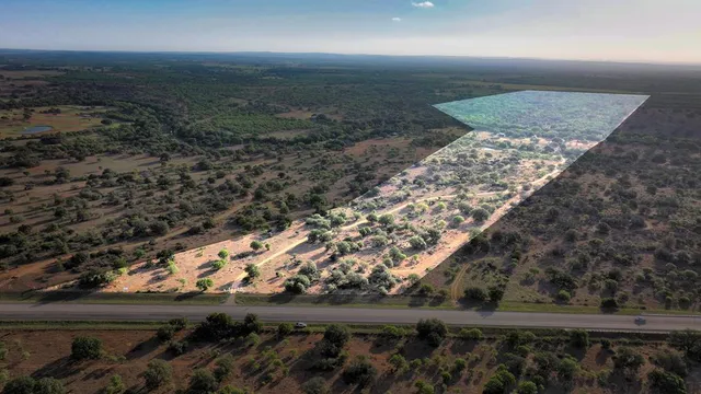 a view of a back yard