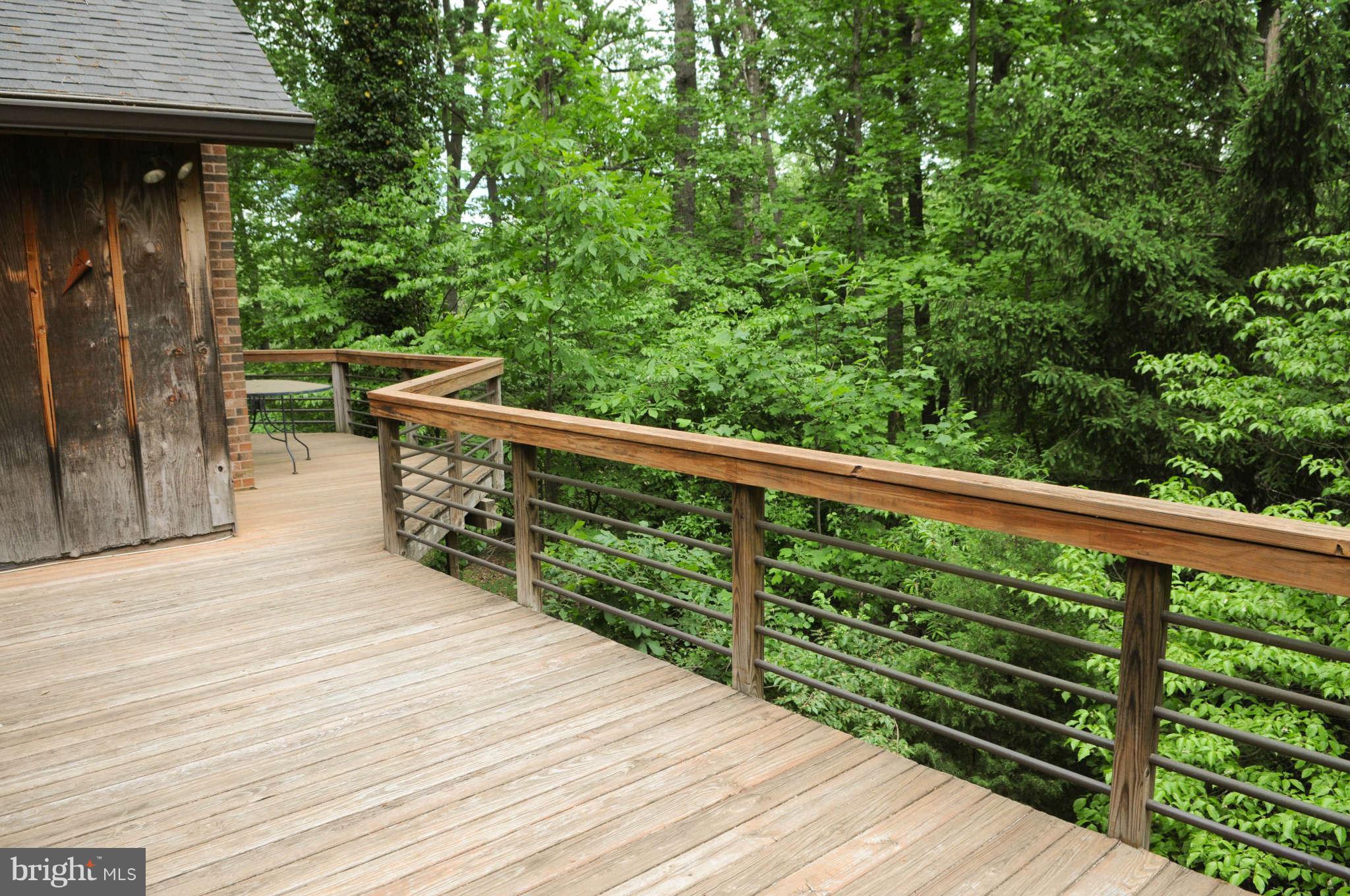 1049 Bellview Road, Unit 1 McLean, VA 22102 - Photo 15 of 24 Exterior (Rear)