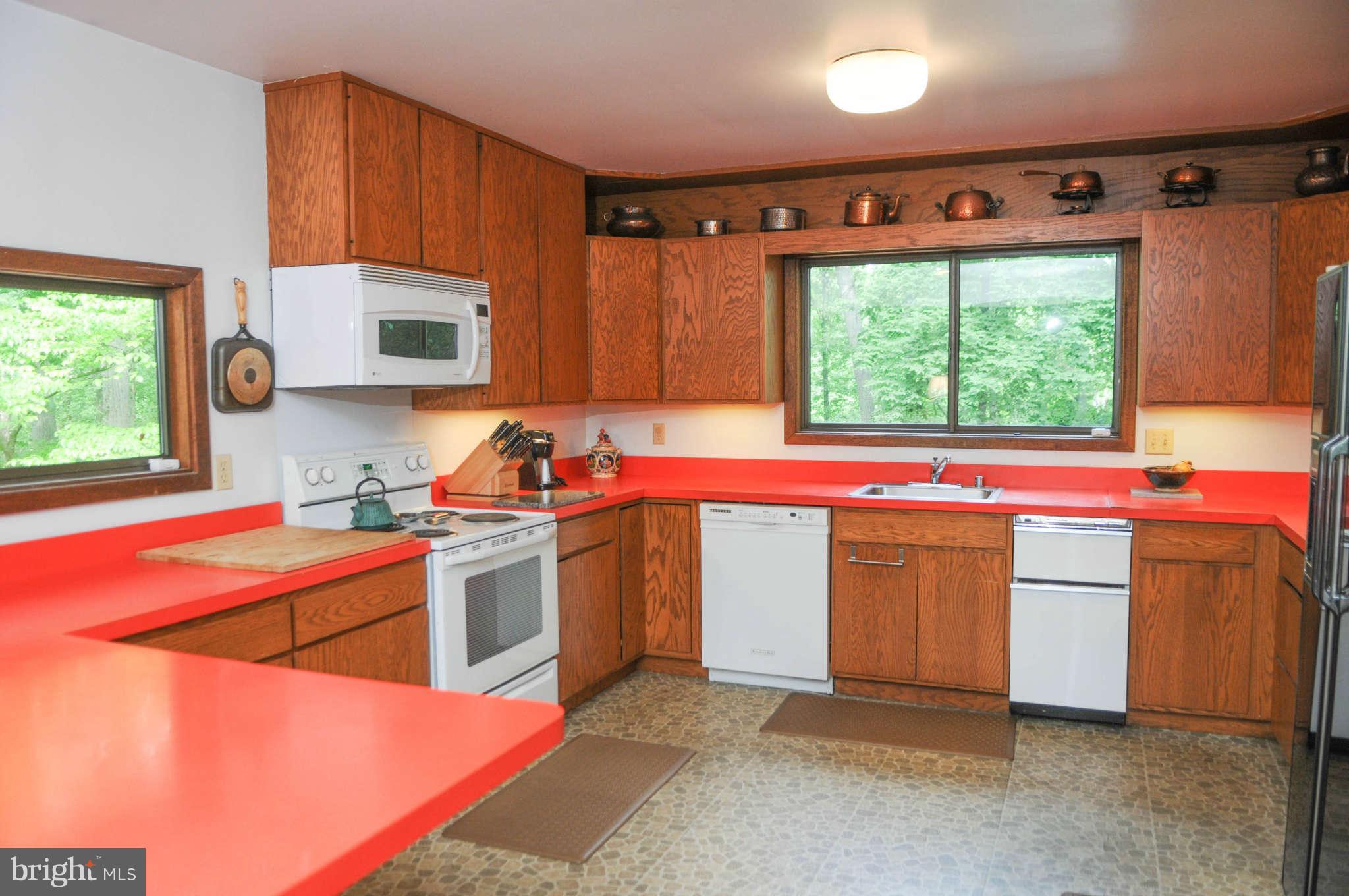 1049 Bellview Road, Unit 1 McLean, VA 22102 - Photo 4 of 24 Kitchen
