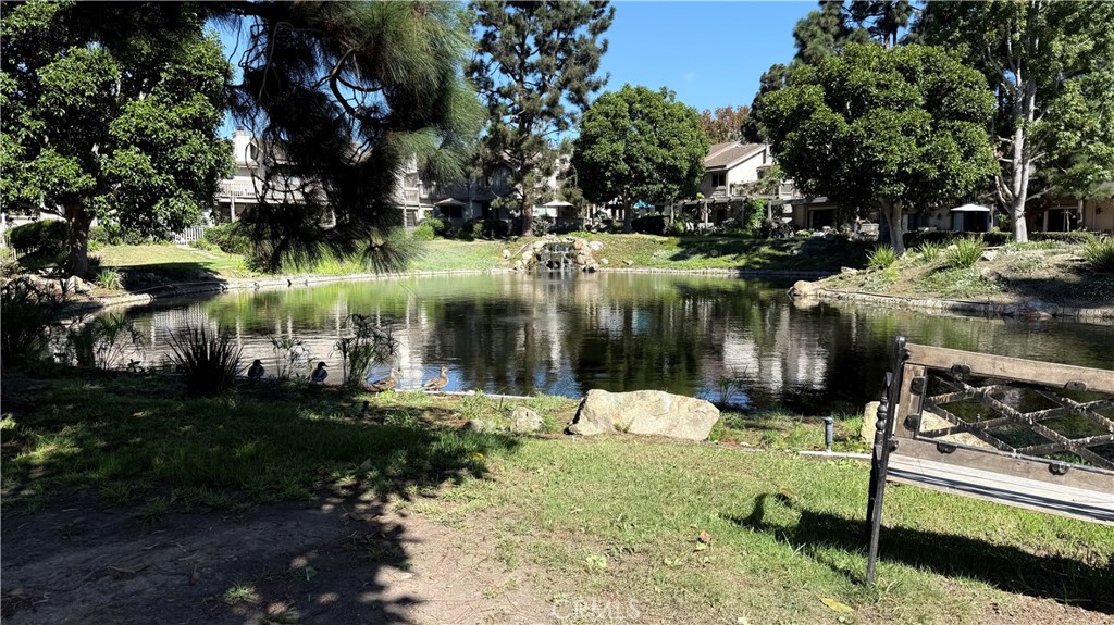 27125 Mill Pond Road Dana Point, CA 92624 - Photo 52 of 60 Gallery Image 52