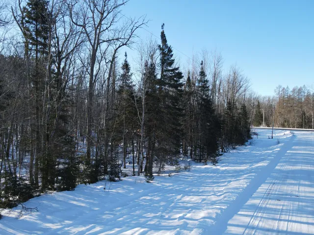 $40,000 | Lot 14 Beaver Drive, Brainerd, MN 56401