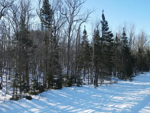 $40,000 | Lot 14 Beaver Drive, Brainerd, MN 56401