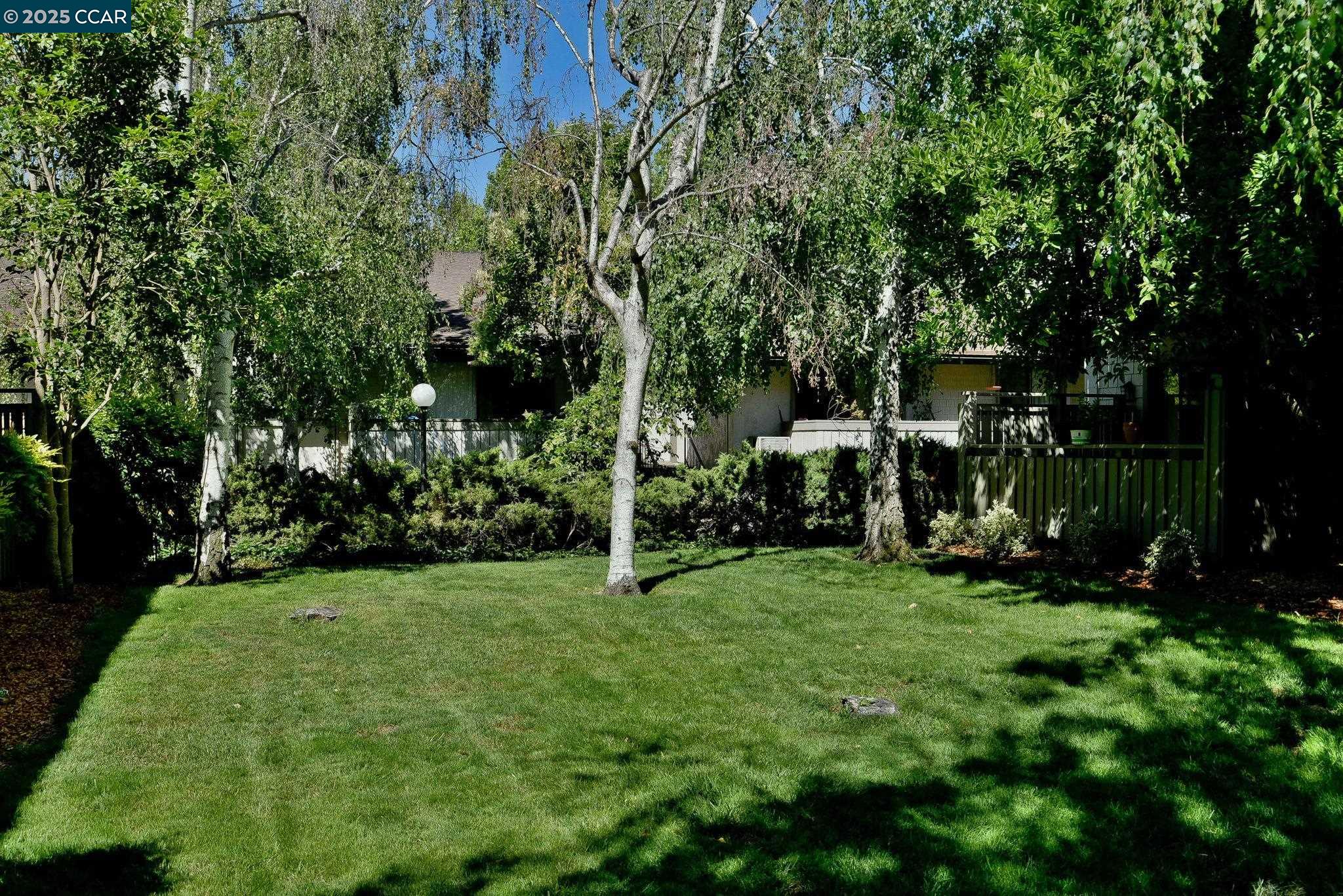 1411 Marchbanks Drive, Unit 2 Walnut Creek, CA 94598 - Photo 22 of 42 a view of a trees in front of a house