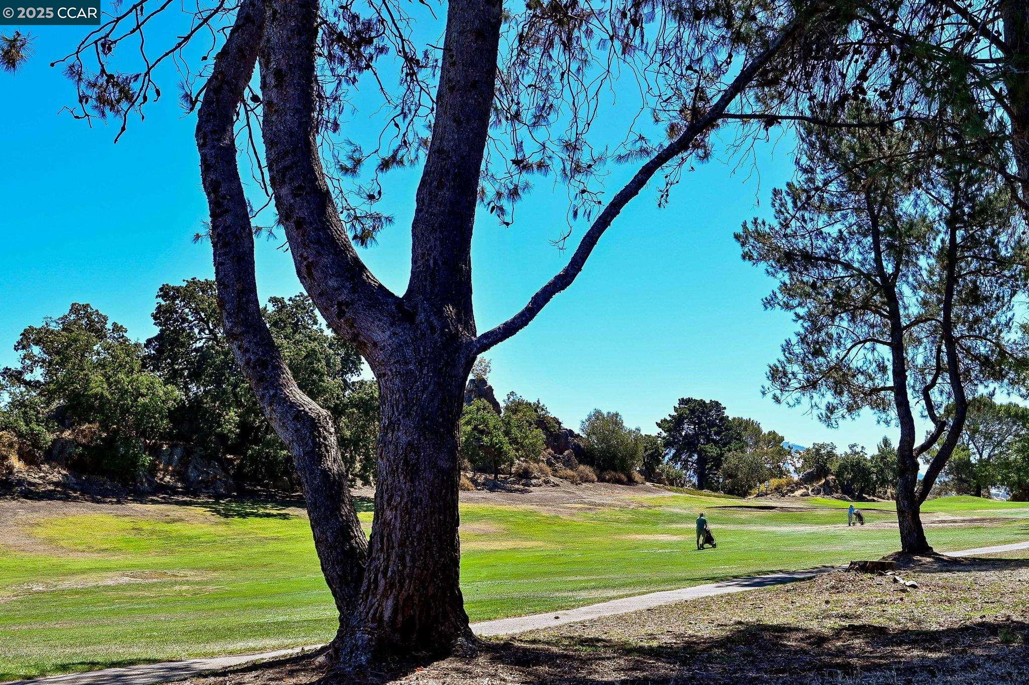 1411 Marchbanks Drive, Unit 2 Walnut Creek, CA 94598 - Photo 34 of 42 a view of a park