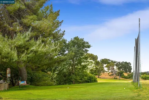 a view of a big yard with plants and large trees