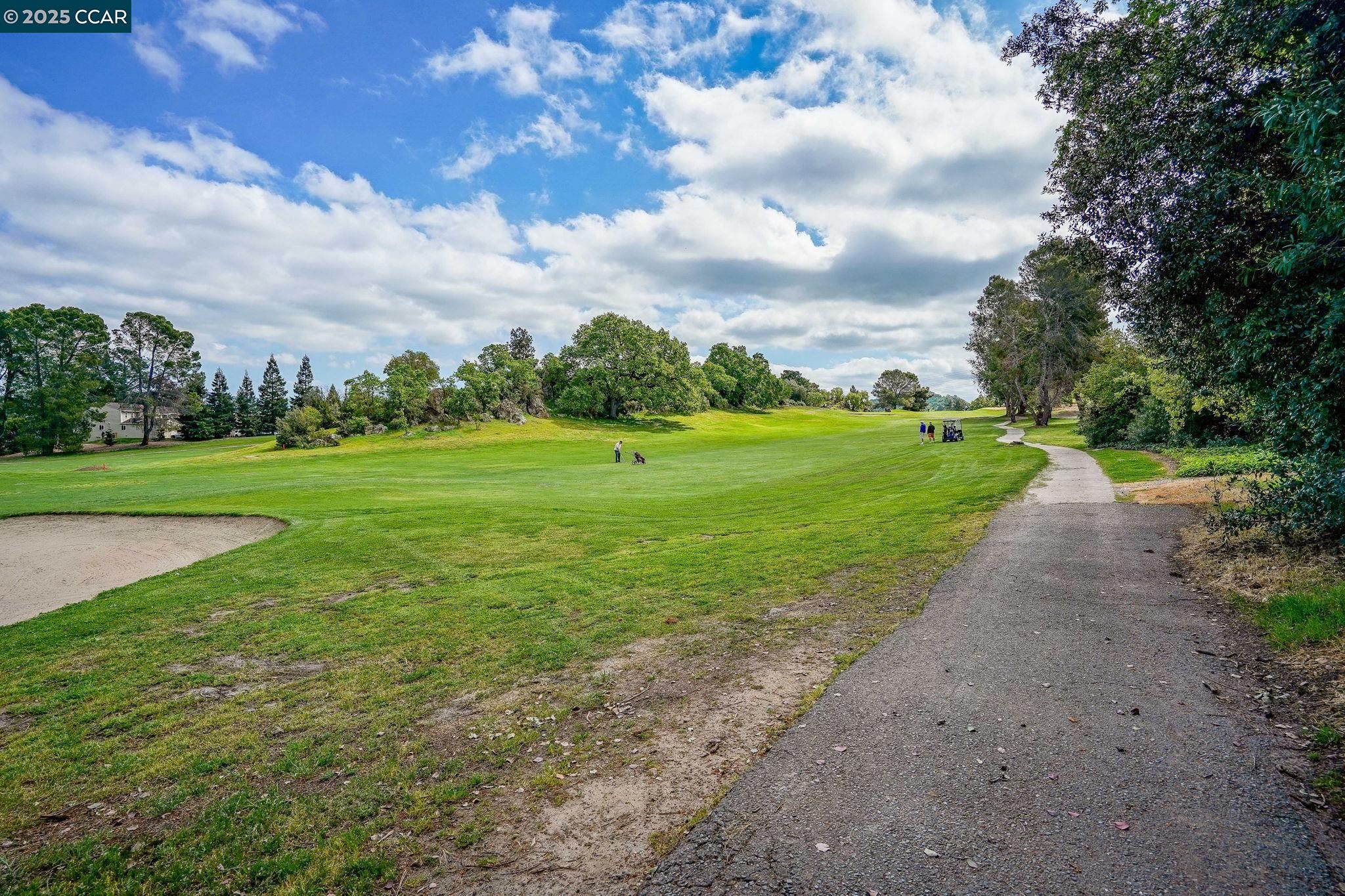 1411 Marchbanks Drive, Unit 2 Walnut Creek, CA 94598 - Photo 37 of 42 a view of a big yard with plants and large trees