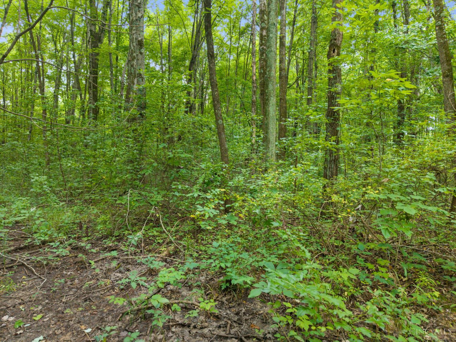 0 Moore Road Bethel, OH 45106 - Photo 19 of 21 Gallery Image 19