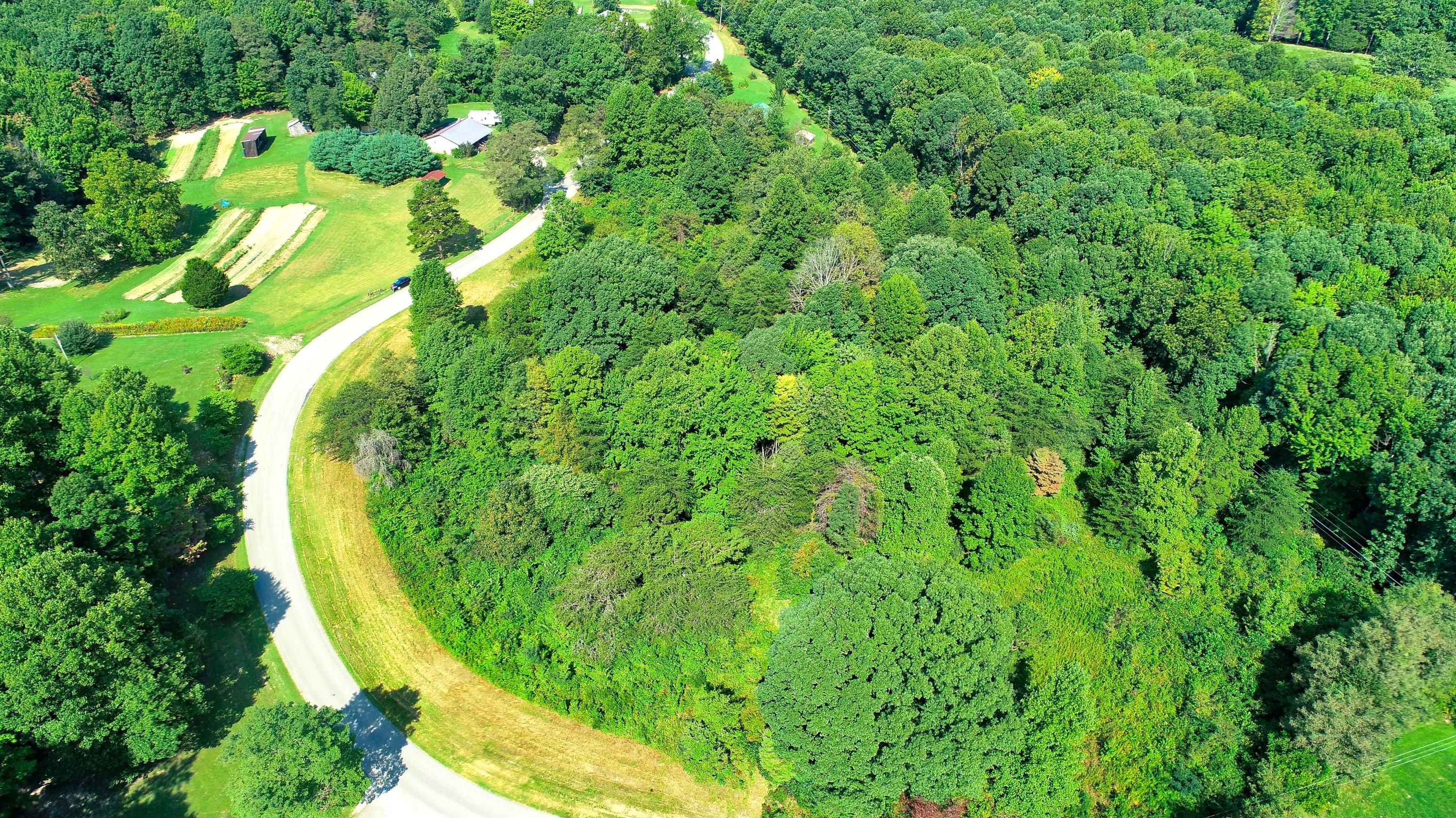 812 Yellow Cliff Road Jamestown, TN 38556 - Photo 3 of 40 DJI_0115