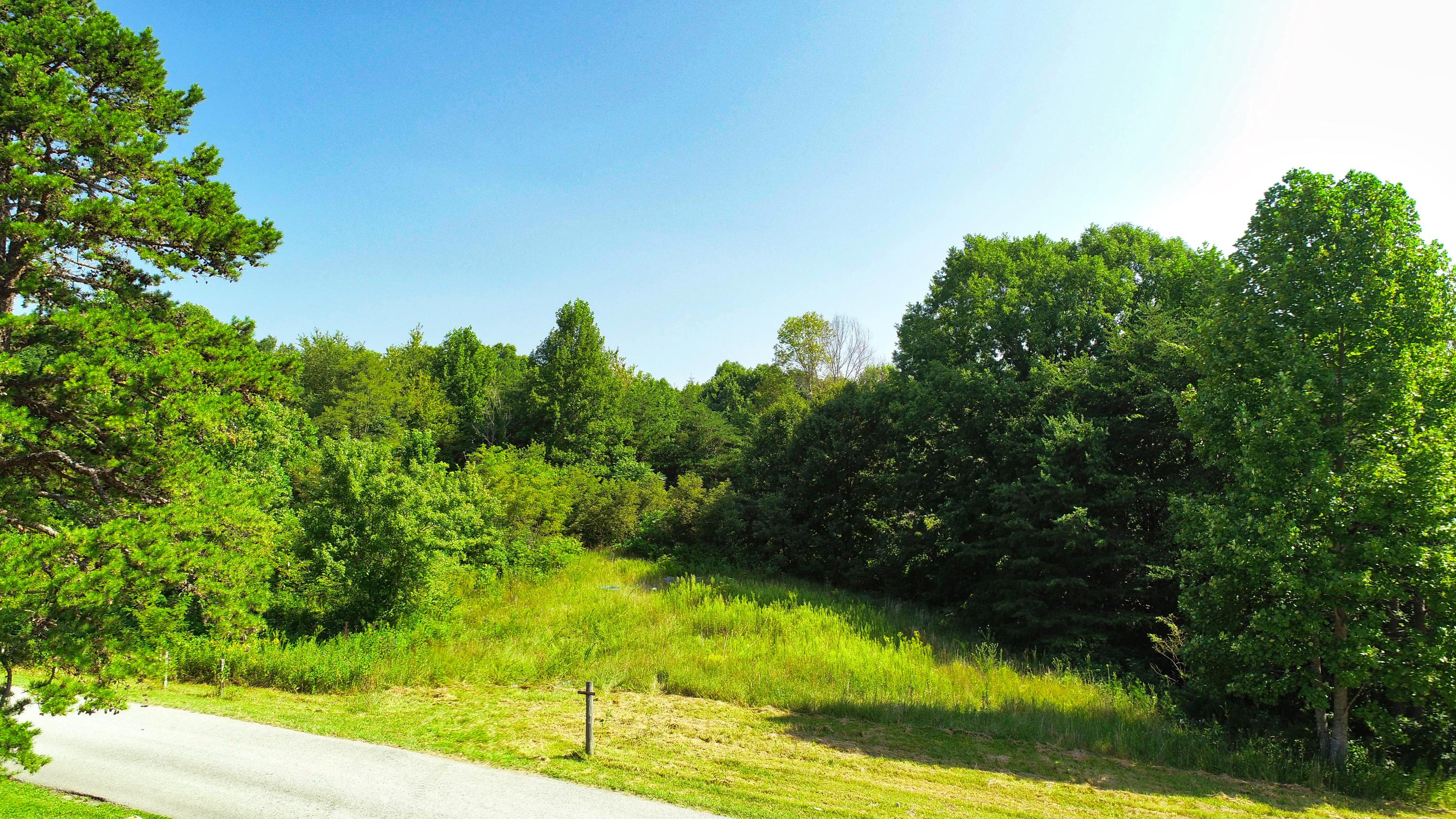 812 Yellow Cliff Road Jamestown, TN 38556 - Photo 40 of 40 DJI_0006