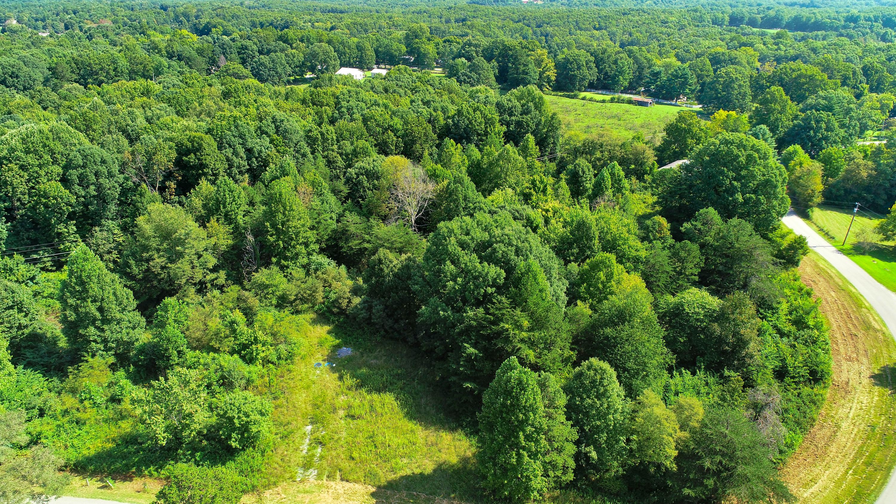 812 Yellow Cliff Road Jamestown, TN 38556 - Photo 8 of 40 DJI_0030