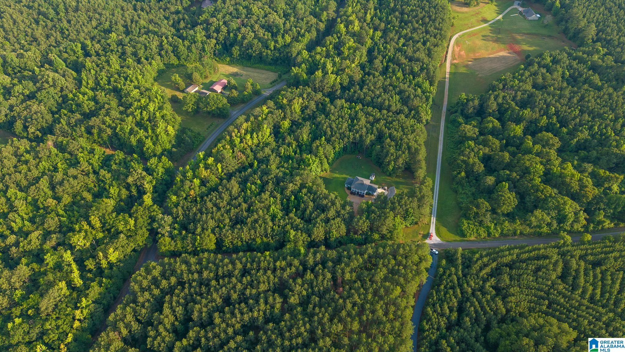 1250 Crossover Road Cropwell, AL 35054 - Photo 66 of 66