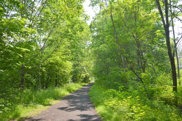 $299,000 | 503 Dartmouth College Highway, Lebanon, NH 03766