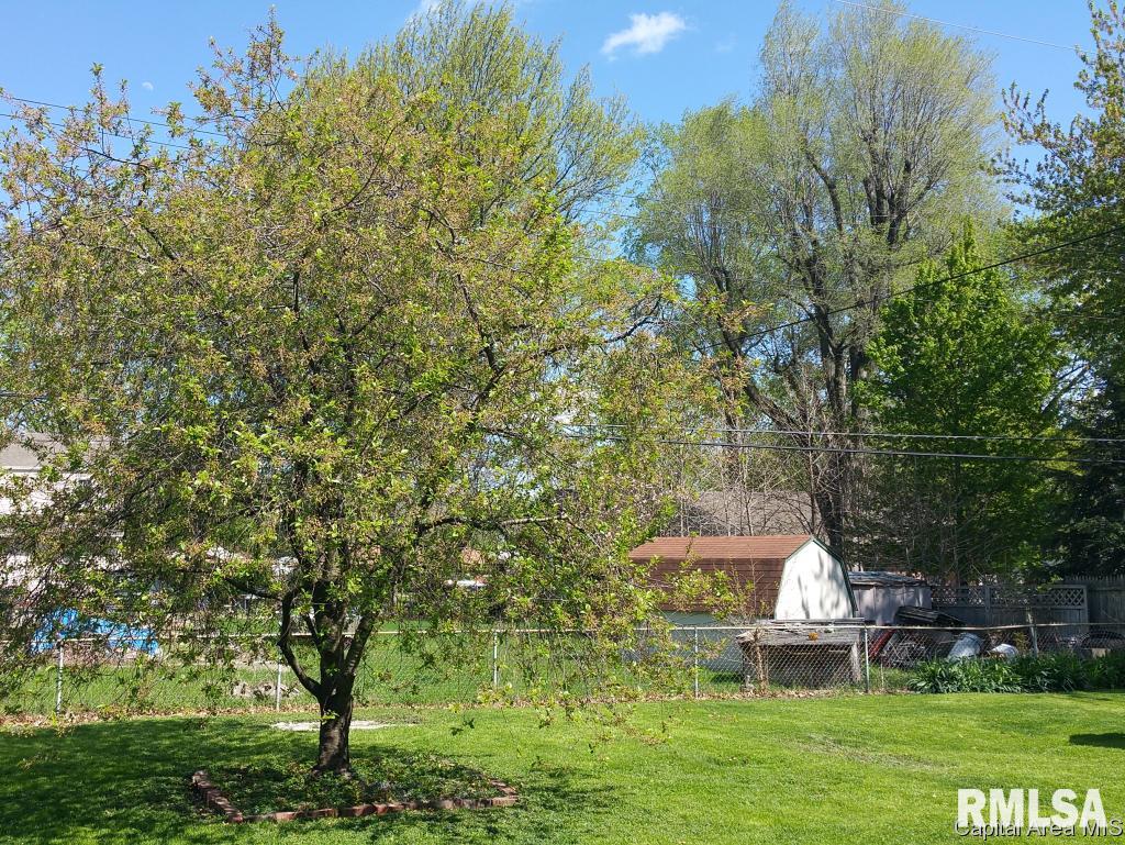 3332 South 2nd Street Springfield, IL 62703 - Photo 19 of 20