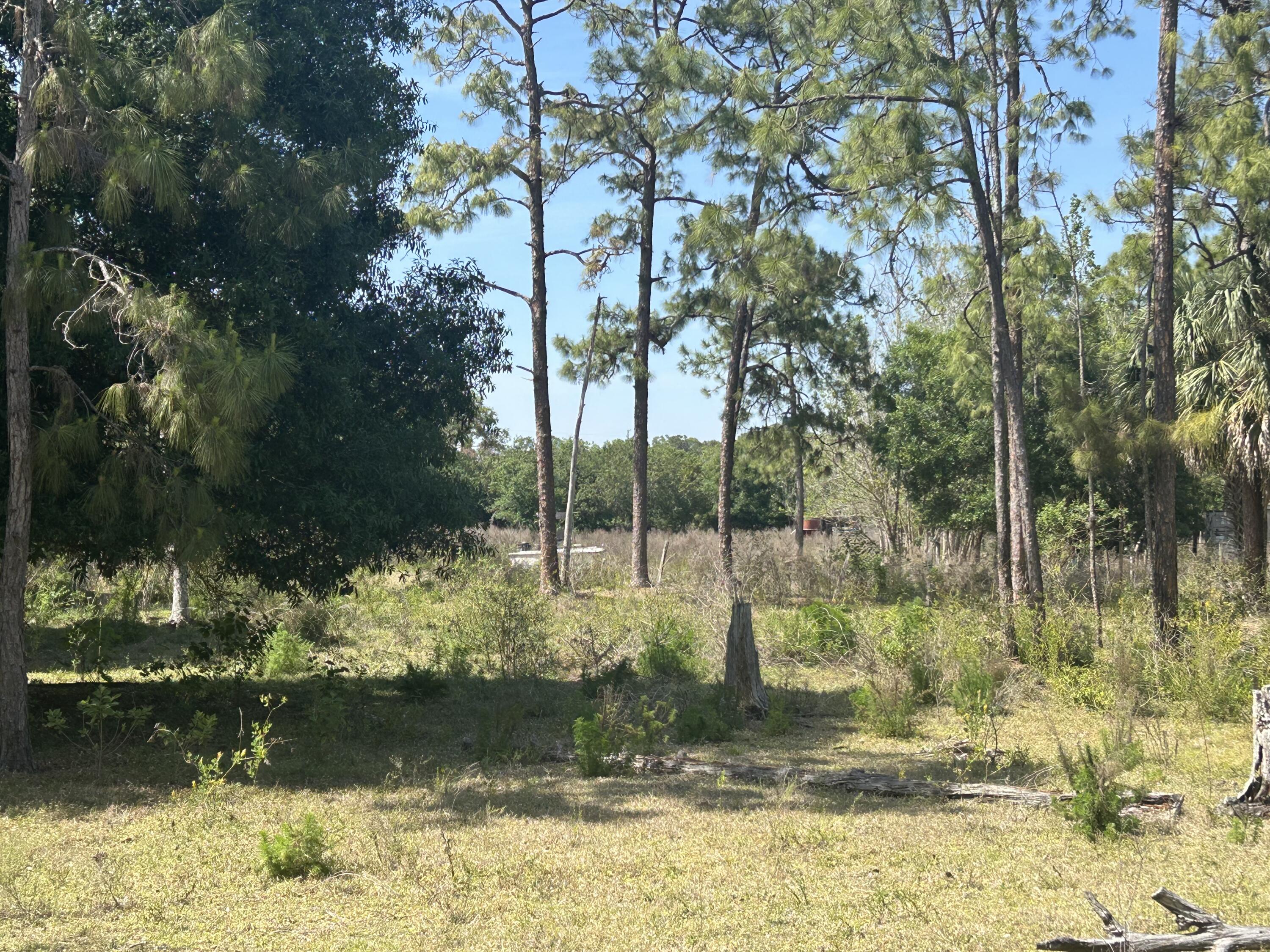 4810 Windmill Road Loxahatchee, FL 33470 - Photo 11 of 34 a view of a garden