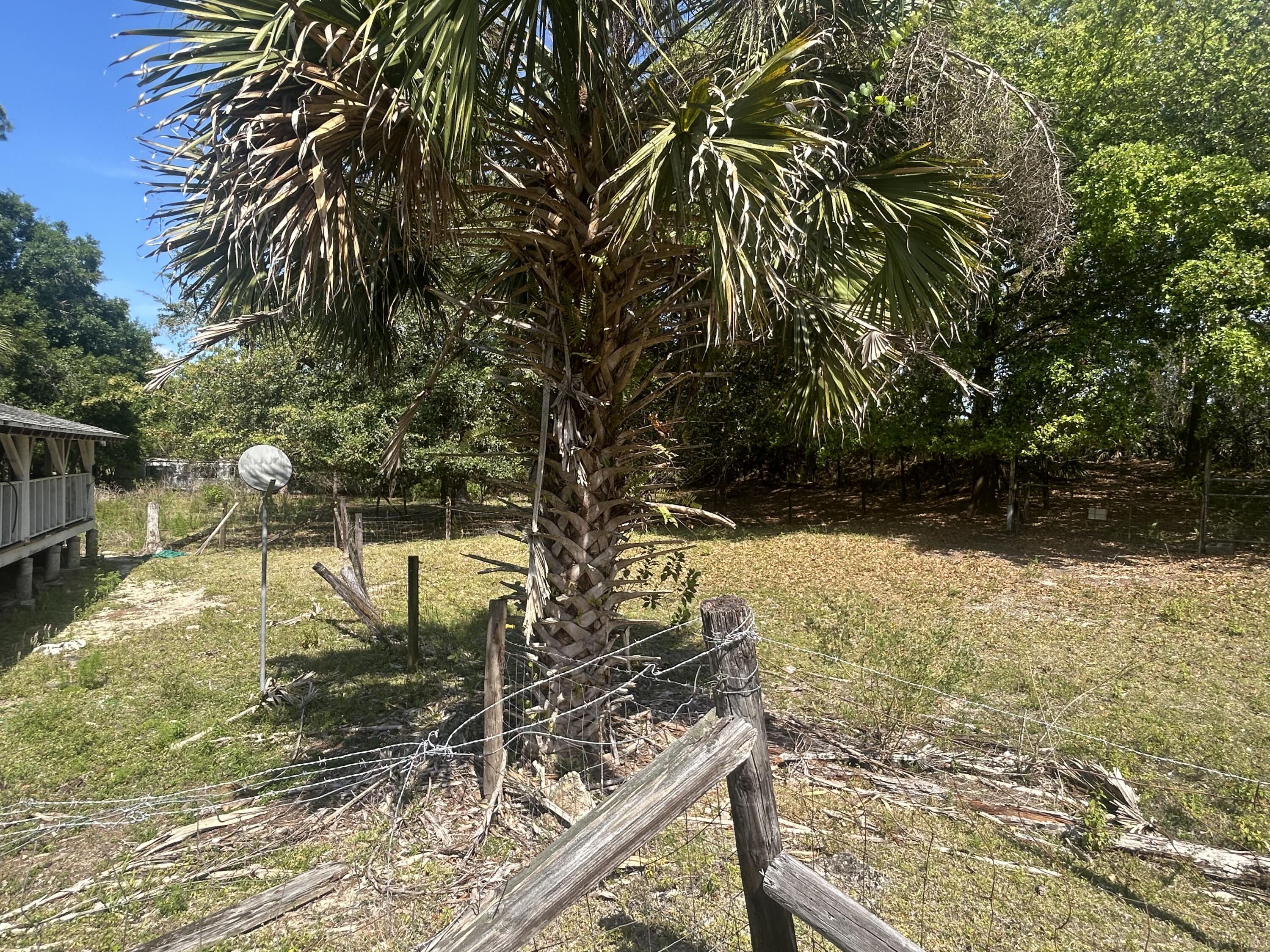 4810 Windmill Road Loxahatchee, FL 33470 - Photo 12 of 34 a view of a yard with plants