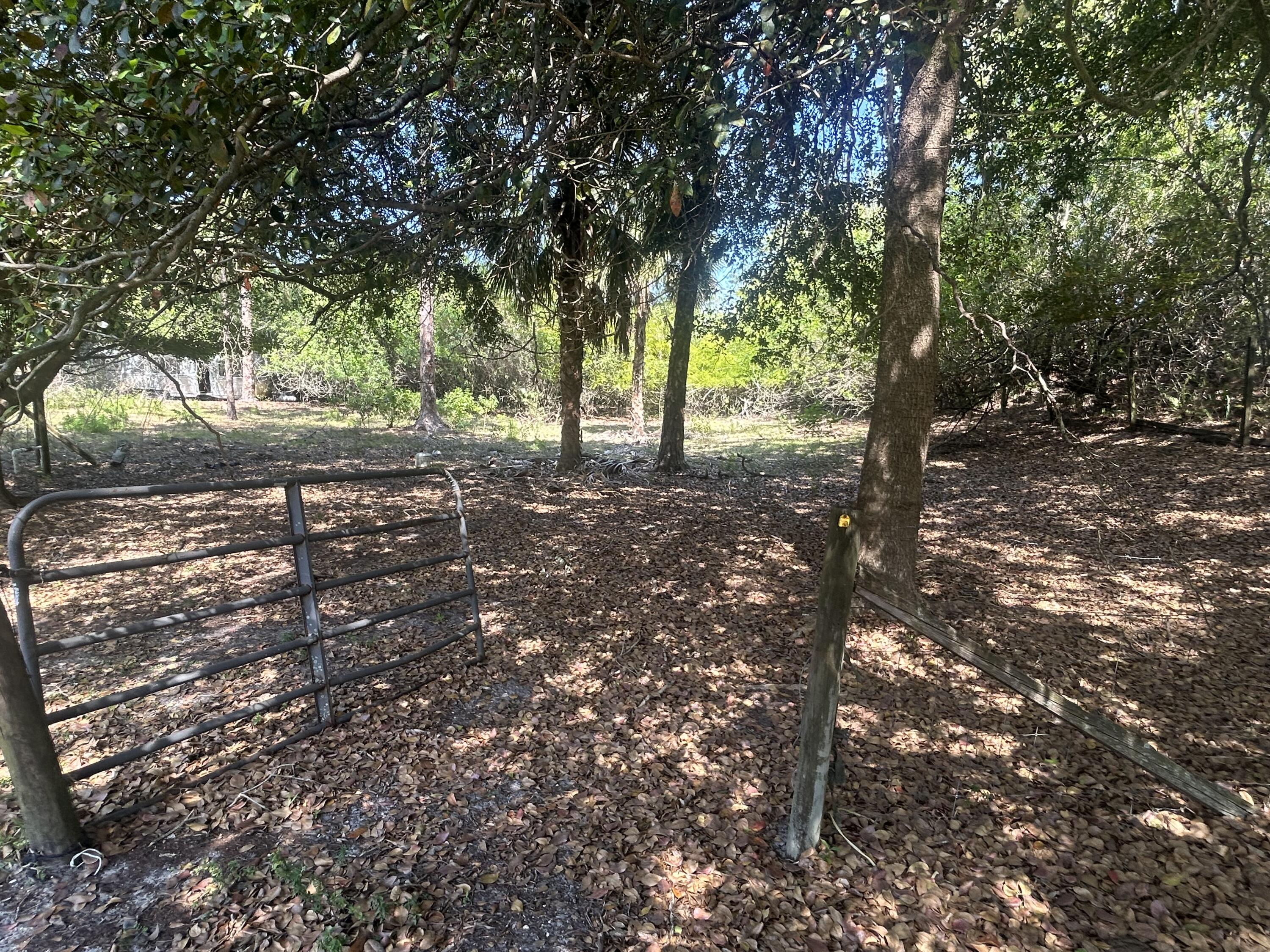 4810 Windmill Road Loxahatchee, FL 33470 - Photo 13 of 34 a view of a forest with trees