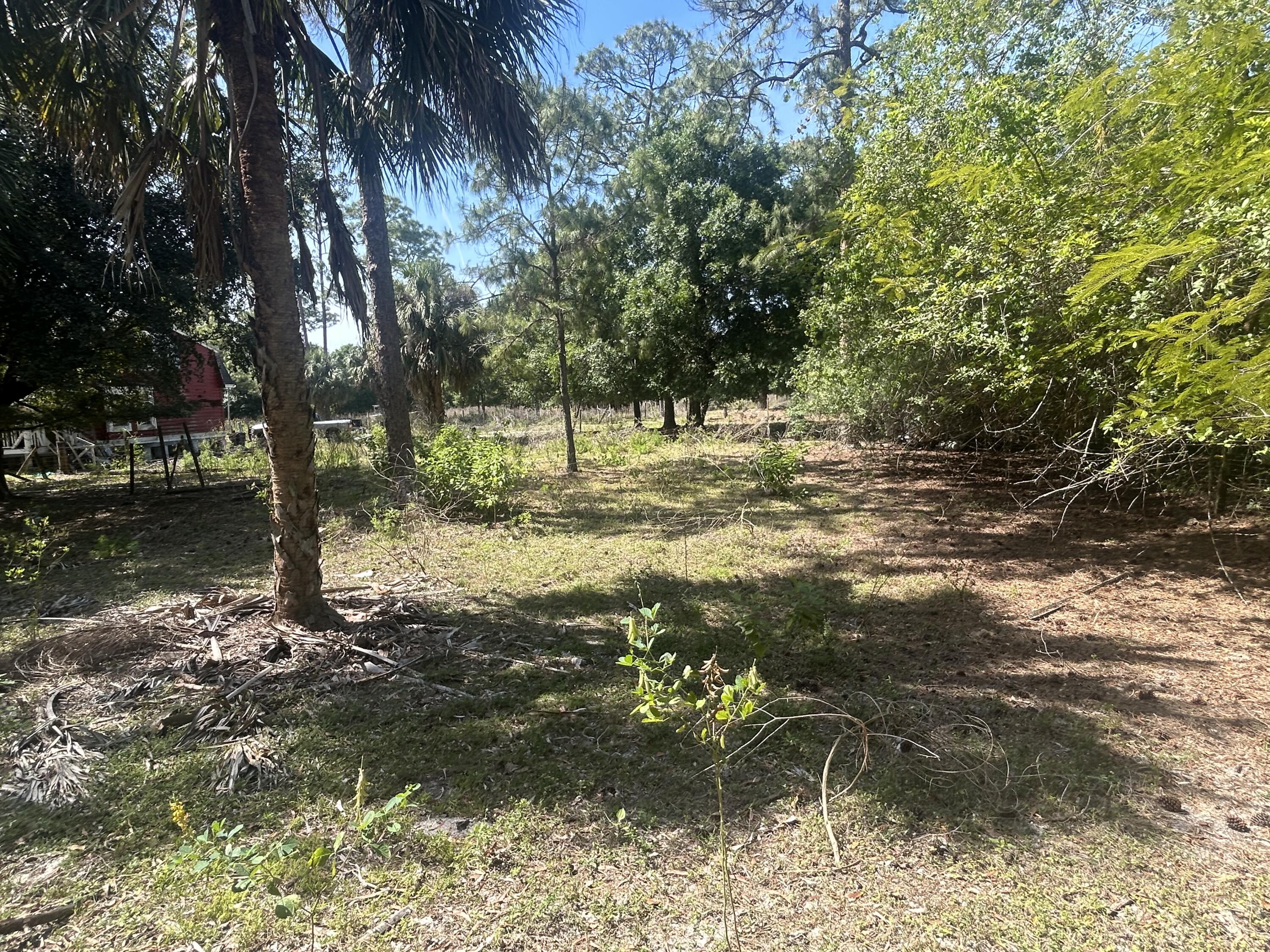 4810 Windmill Road Loxahatchee, FL 33470 - Photo 14 of 34 a view of a yard with plants and trees