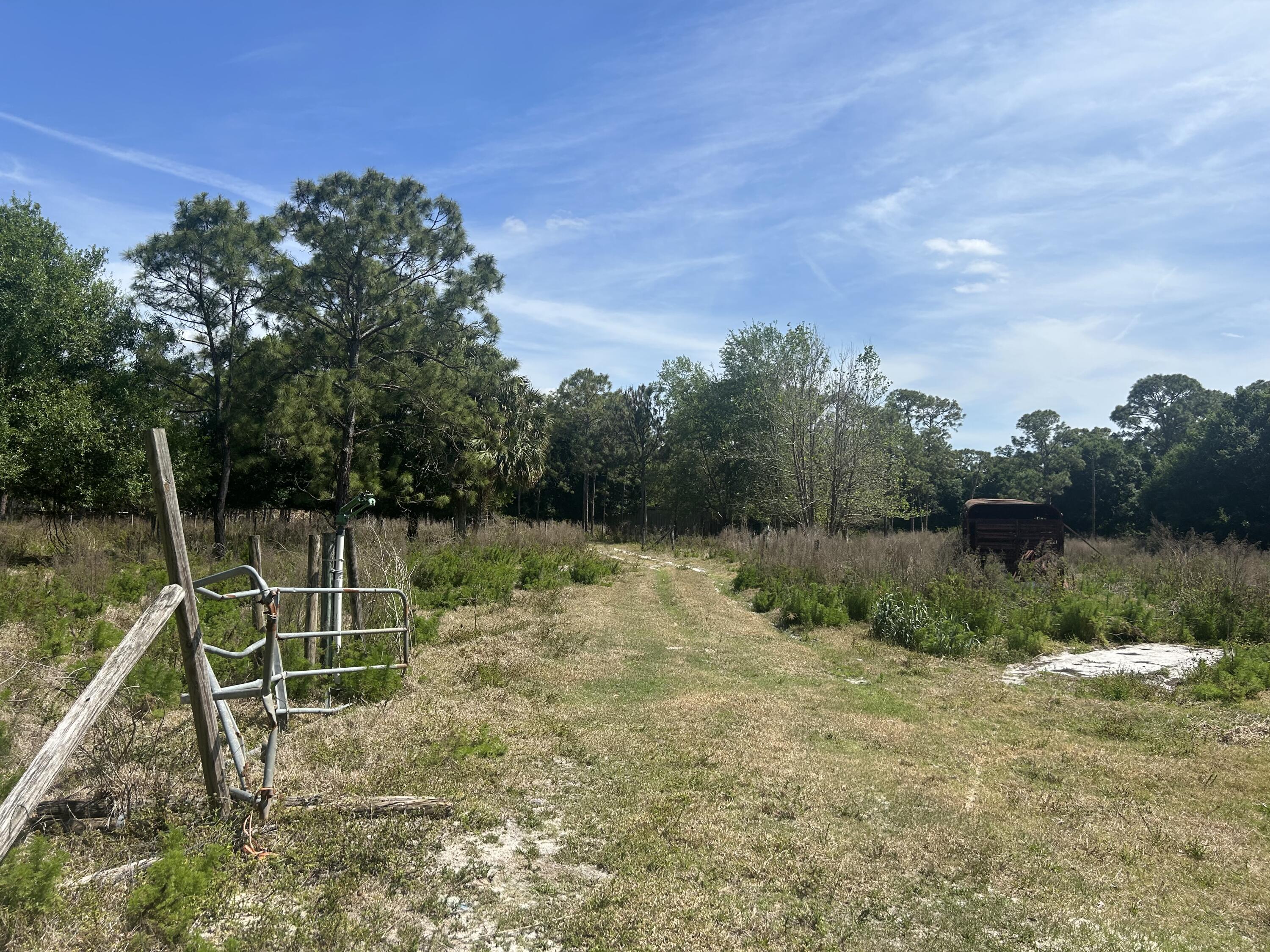 4810 Windmill Road Loxahatchee, FL 33470 - Photo 6 of 34 a backyard of a house with lots of green space