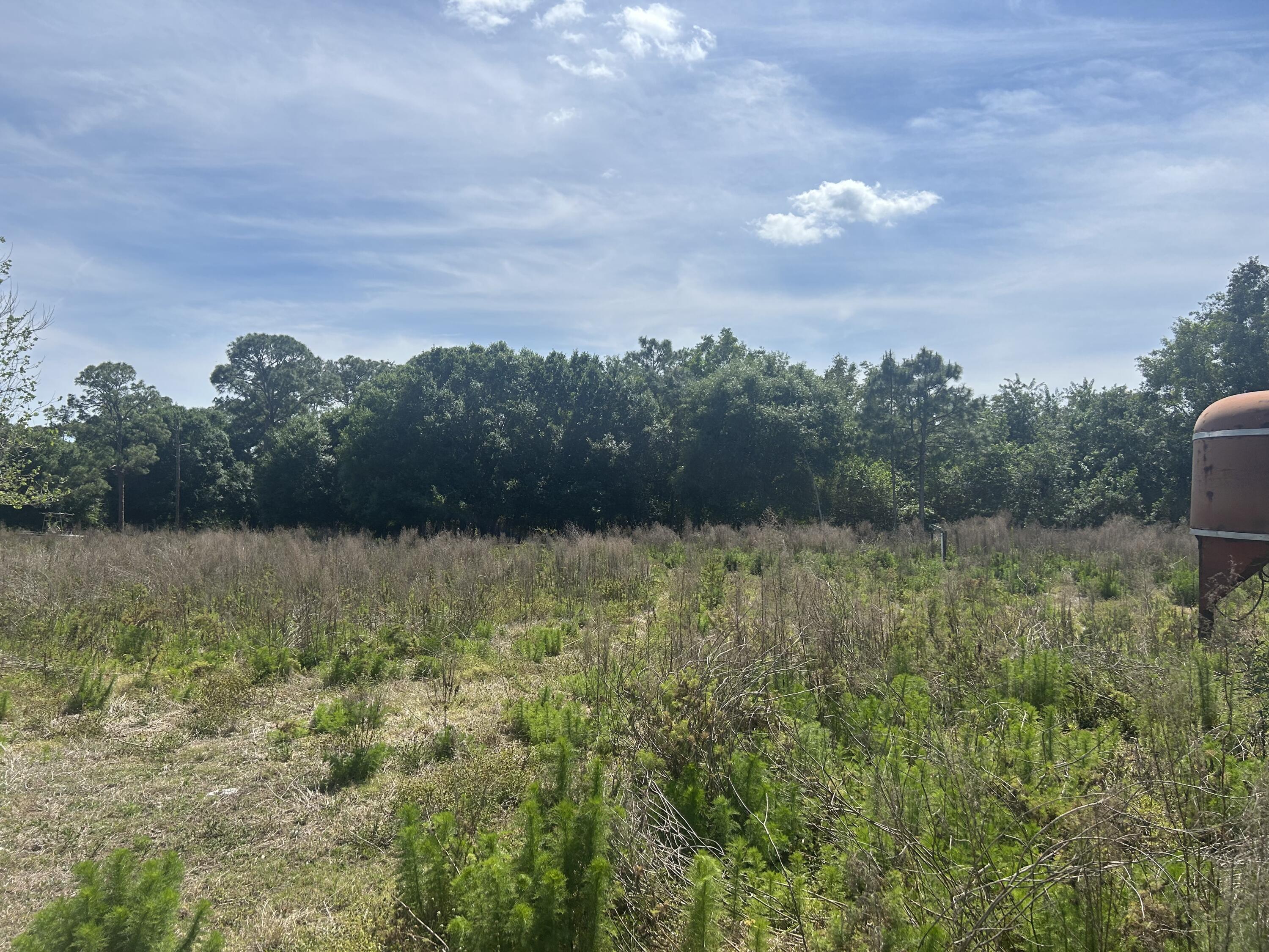 4810 Windmill Road Loxahatchee, FL 33470 - Photo 9 of 34 a view of a yard