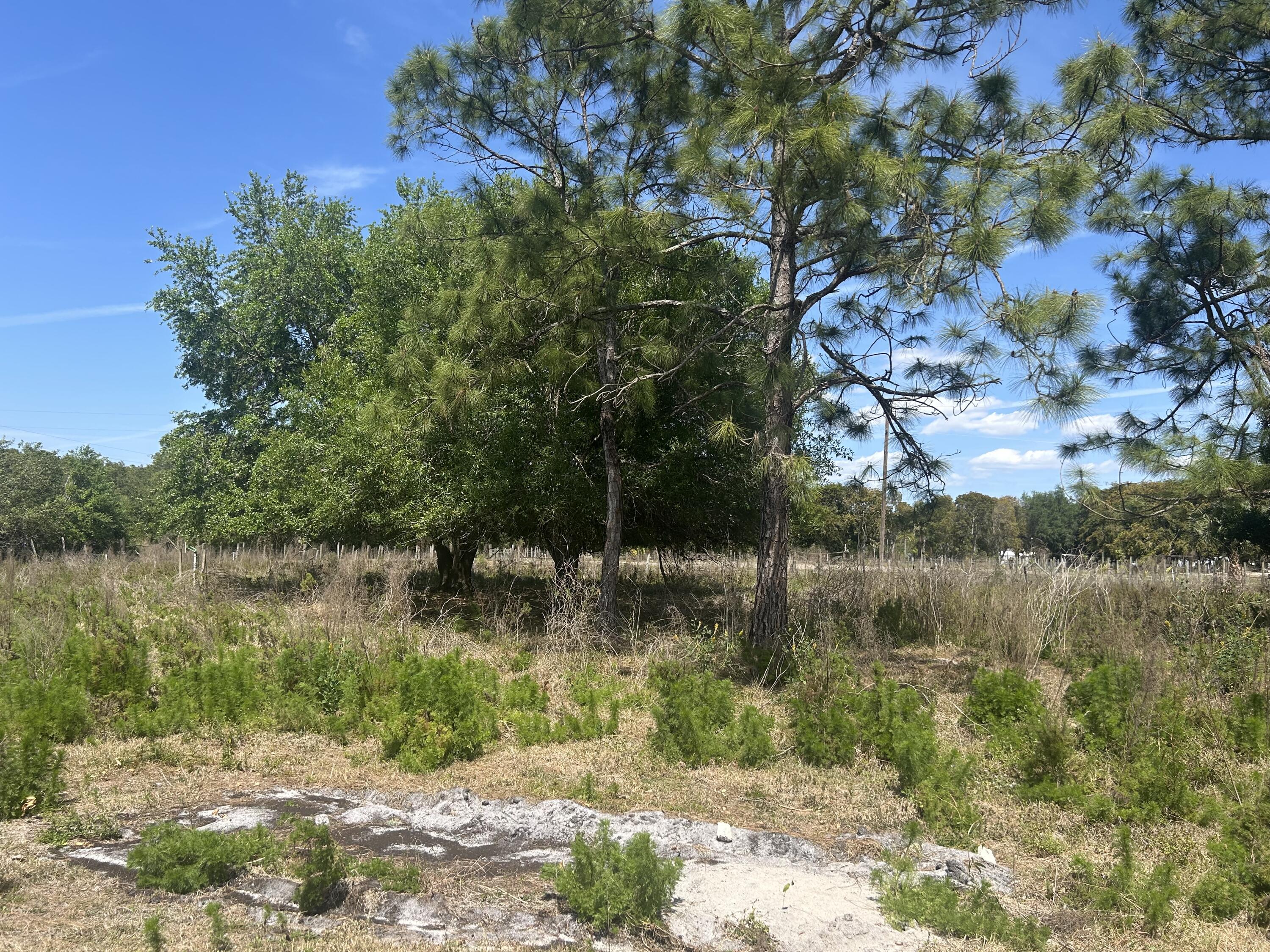 4810 Windmill Road Loxahatchee, FL 33470 - Photo 10 of 34 a view of lake