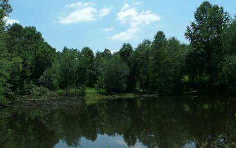 0 Boardtown Road Ellijay, GA 30540 - Photo 1 of 1 Main View