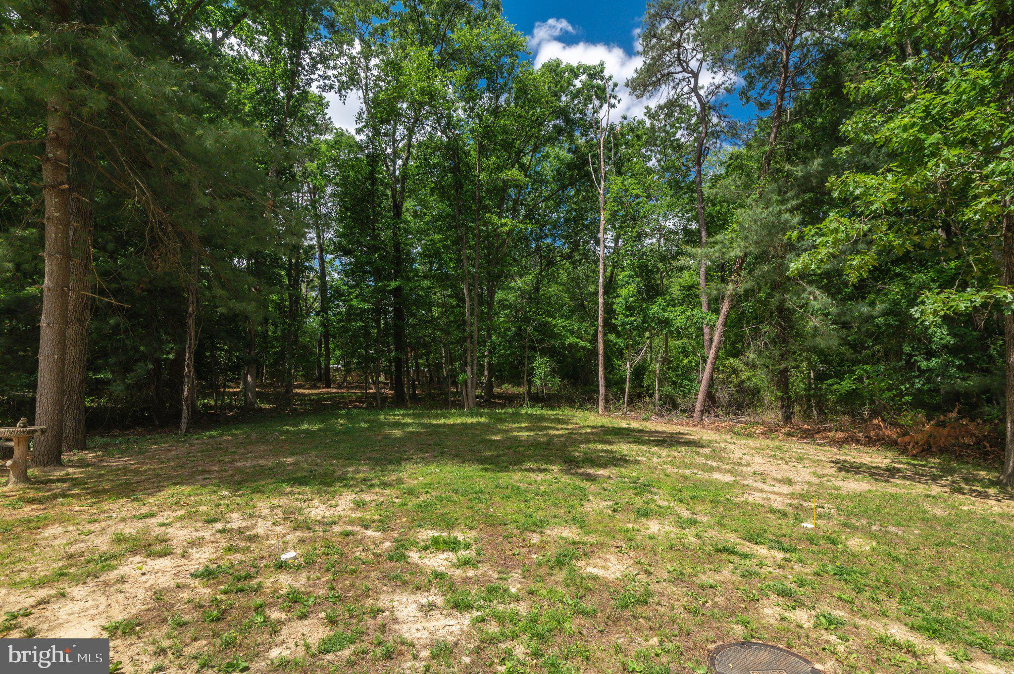 434 4th Street Atco, NJ 08004 - Photo 69 of 69 a view of outdoor space with trees all around