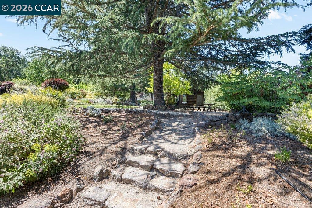 26 Rio Del Court Danville, CA 94526 - Photo 52 of 60