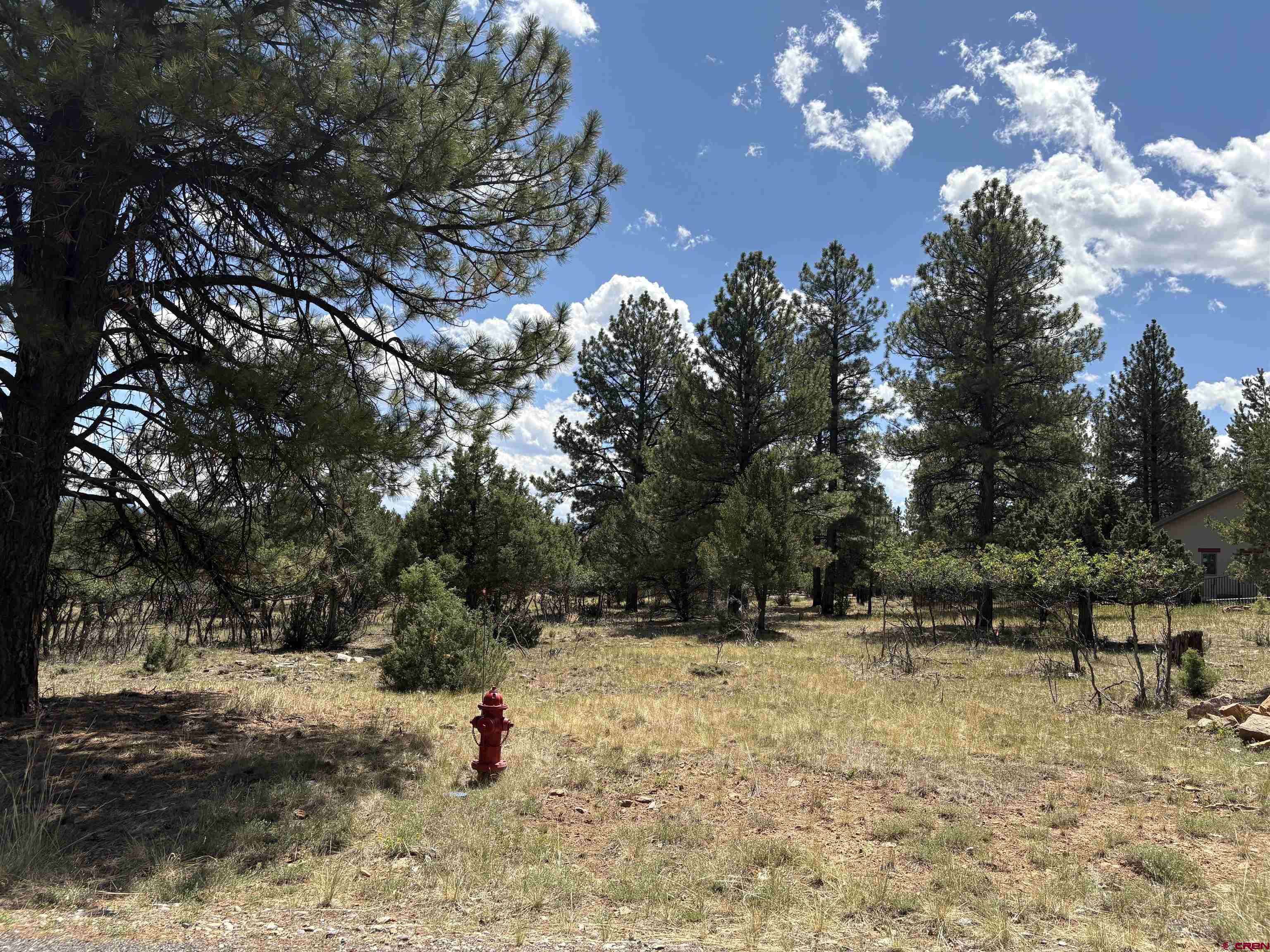 a backyard of a house with lots of green space