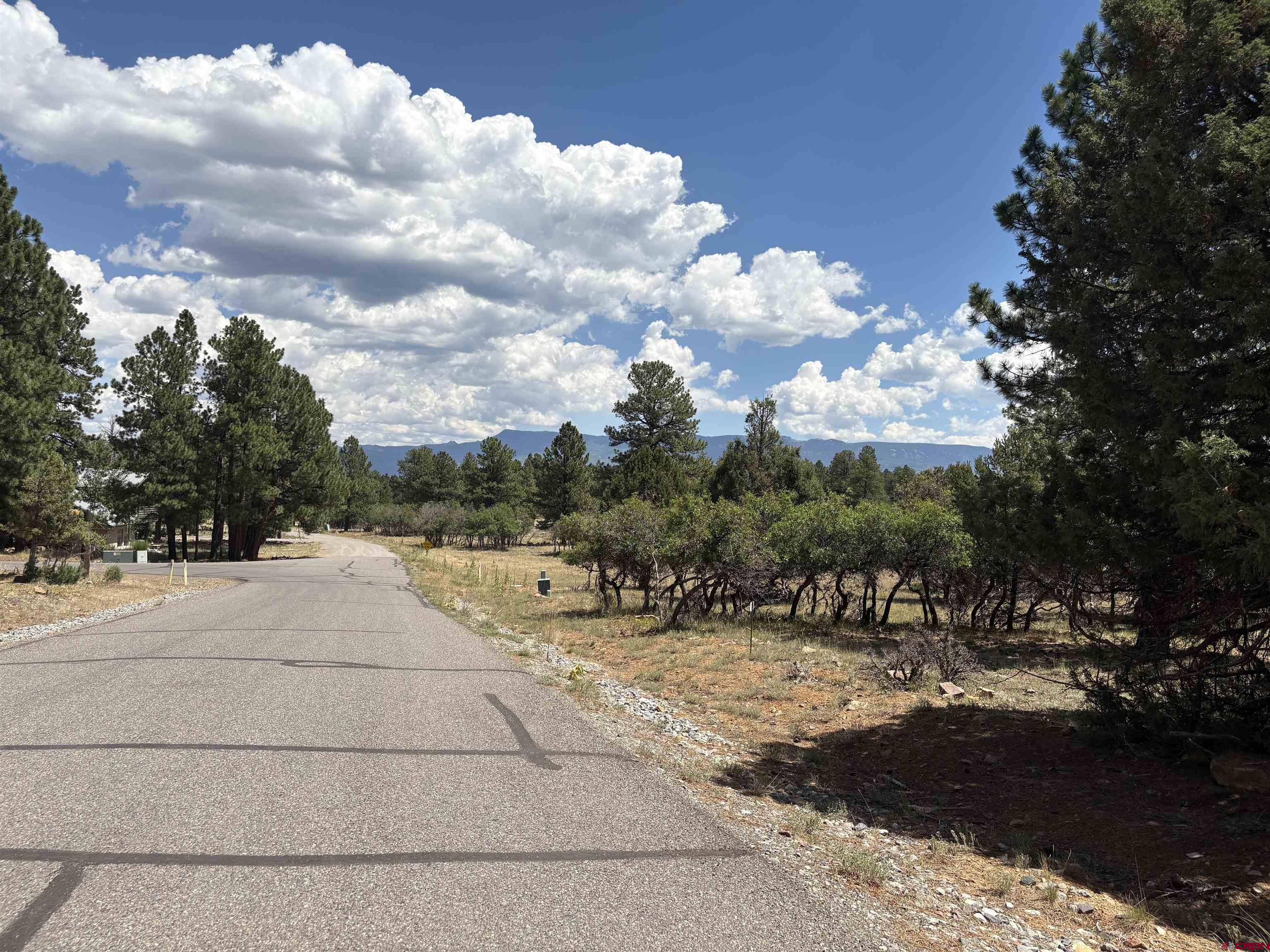 Tbd326 Bear Cub Drive Ridgway, CO 81432 - Photo 2 of 5 a view of outdoor space with green space